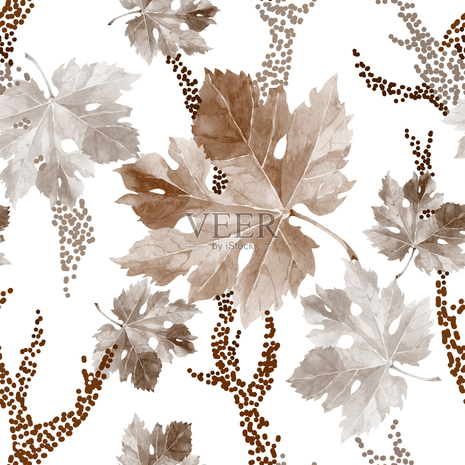 葡萄lwaves和分枝米色水彩在白色背景无缝模式为所有的打印。插画图片素材