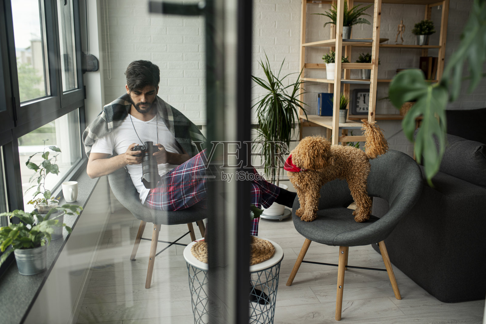 这是他一天中最喜欢的时间照片摄影图片