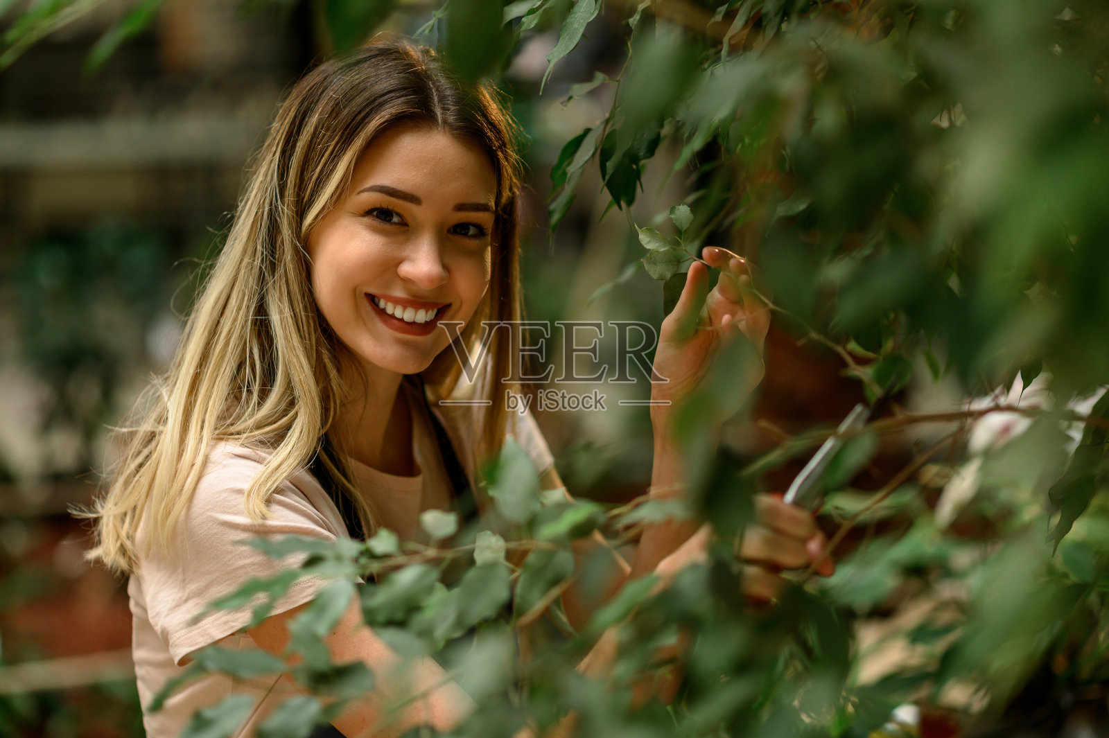 花匠一边用剪枝一边照顾植物照片摄影图片