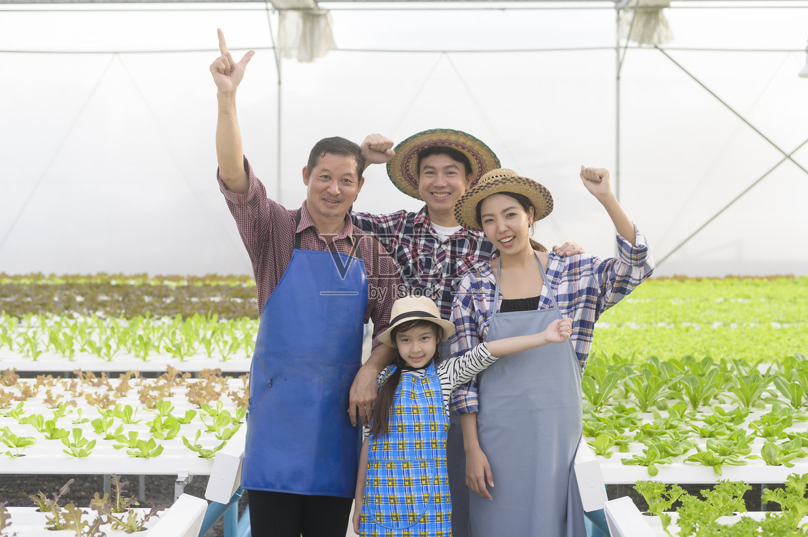 幸福的农民家庭在水培温室农场工作，清洁的食物和健康的饮食理念照片摄影图片