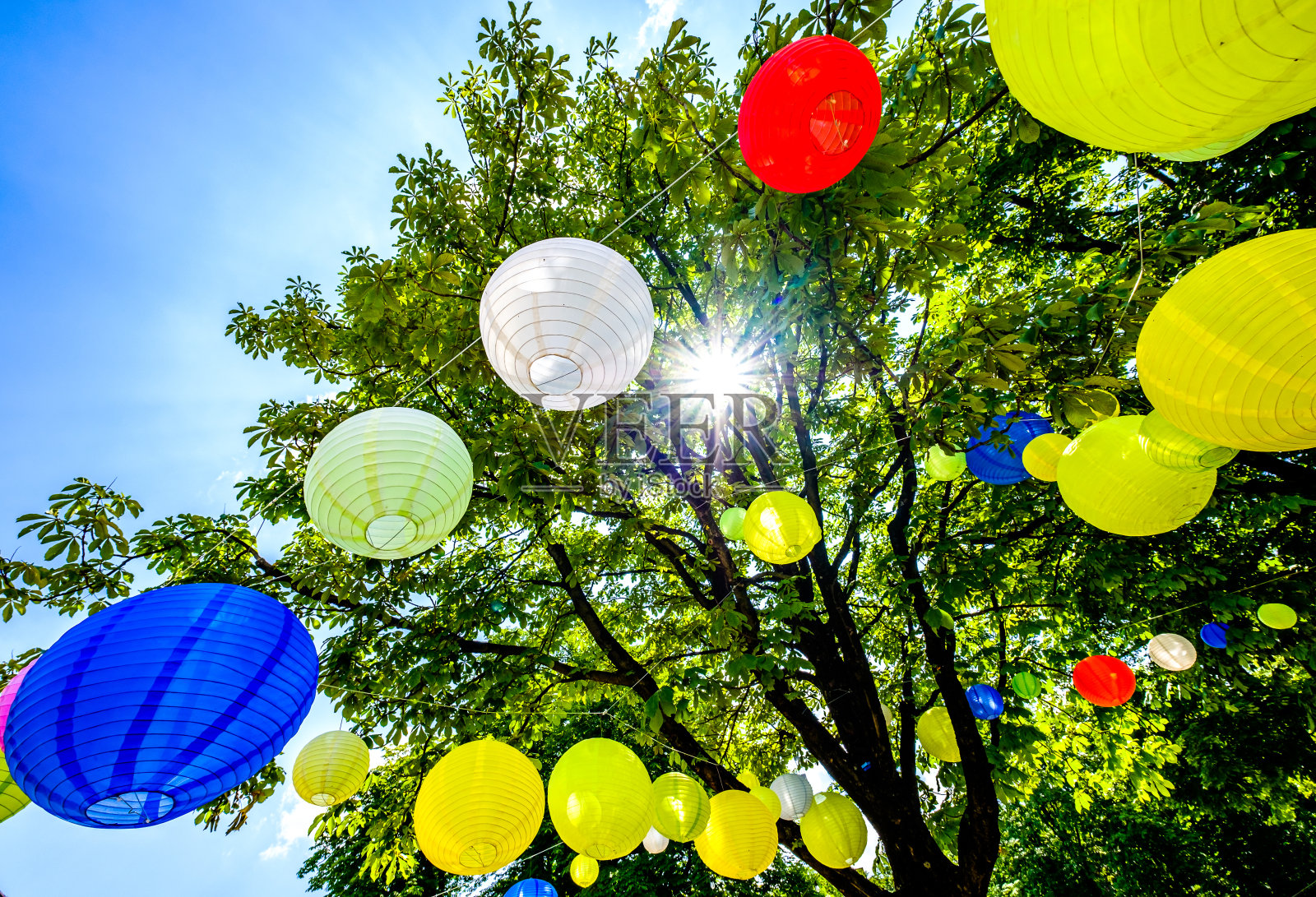 新灯照片摄影图片