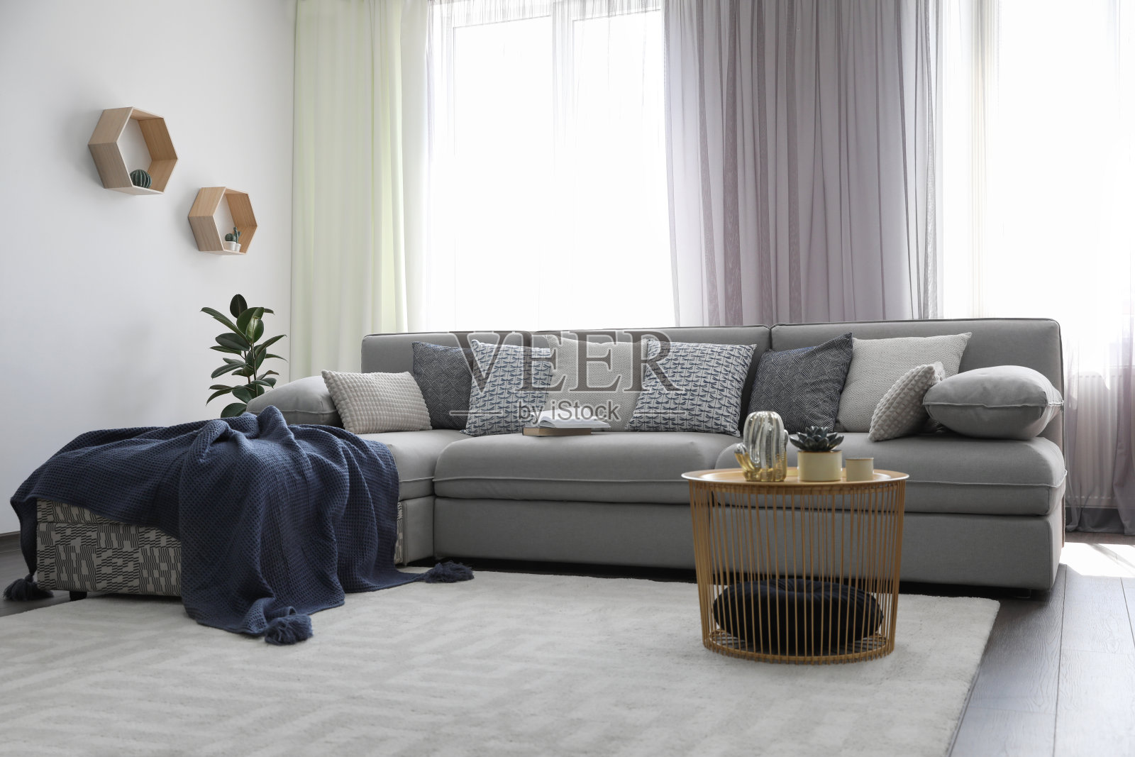 优雅的客厅，舒适的沙发靠窗。室内设计照片摄影图片