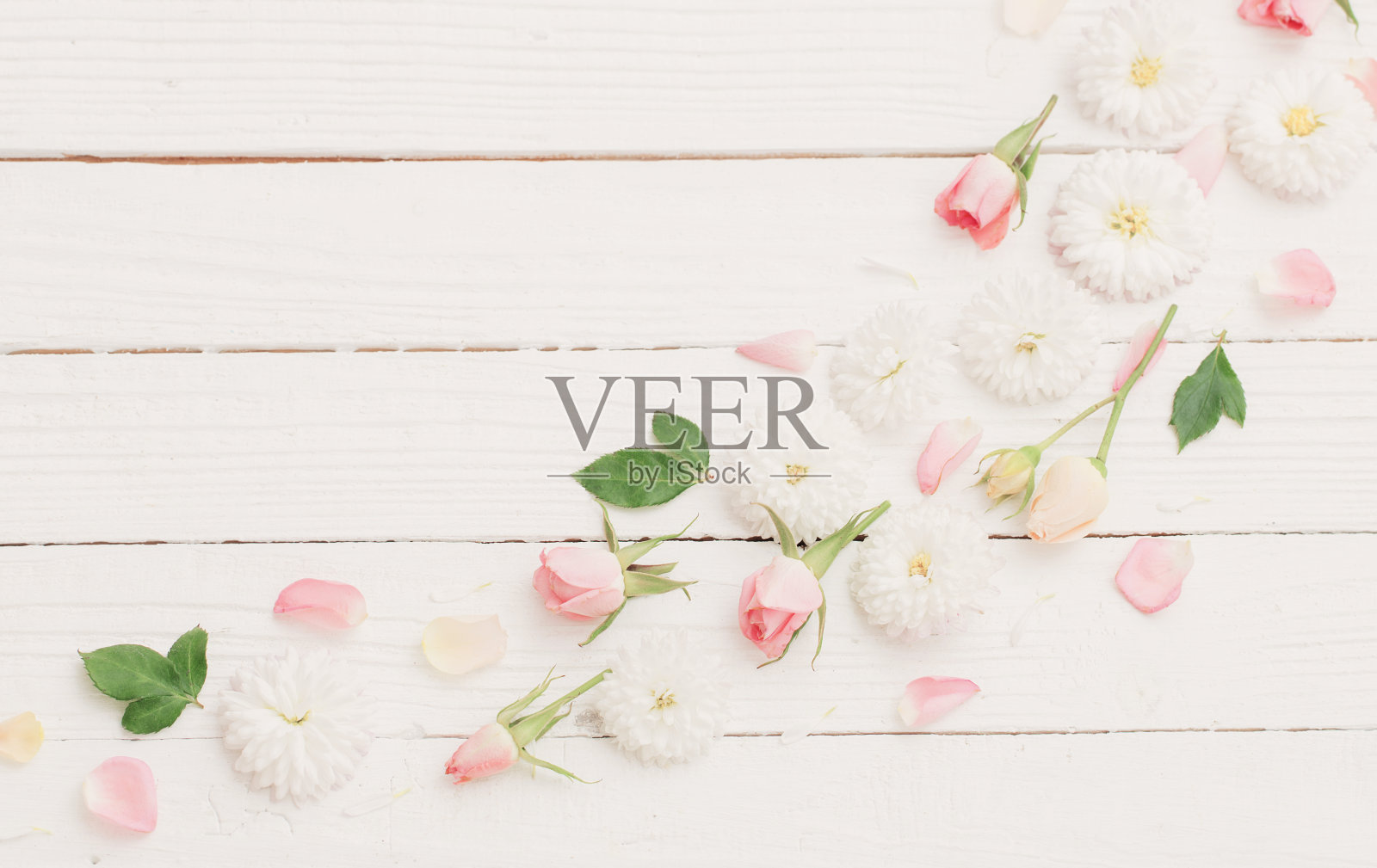 粉红色和白色的花在白色木制背景上照片摄影图片