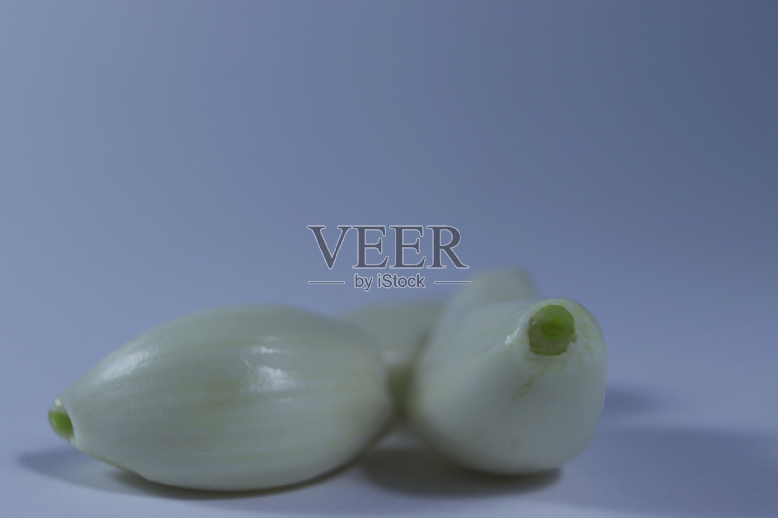 在家里的秋天，淡蓝色背景的大蒜富含维生素。照片摄影图片