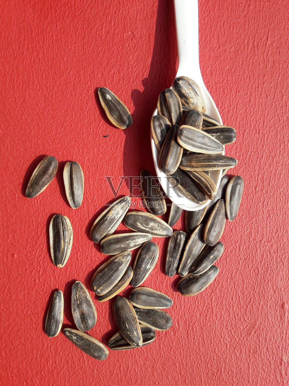 红色背景上的干葵花籽照片摄影图片