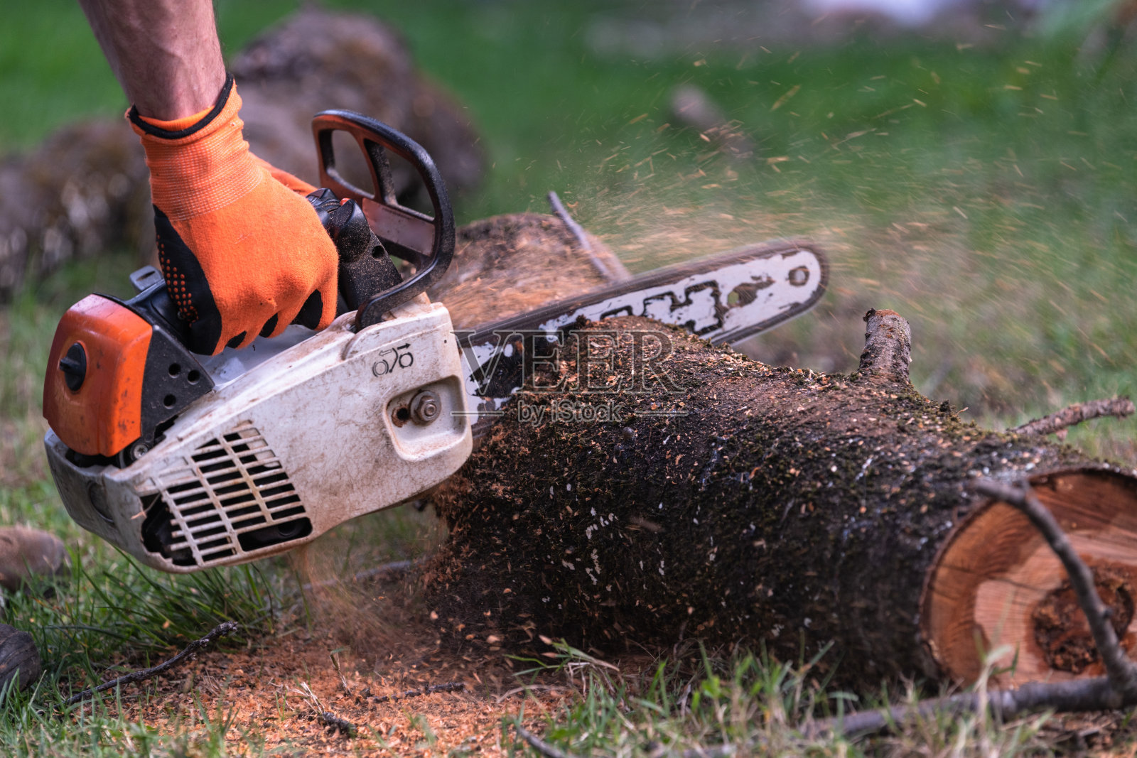 用电锯锯木头照片摄影图片