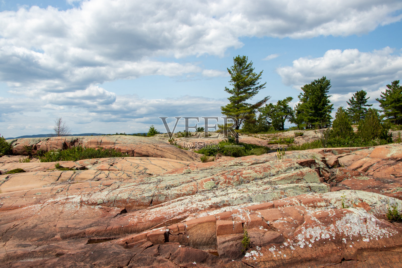 乔治亚湾的加拿大地盾照片摄影图片