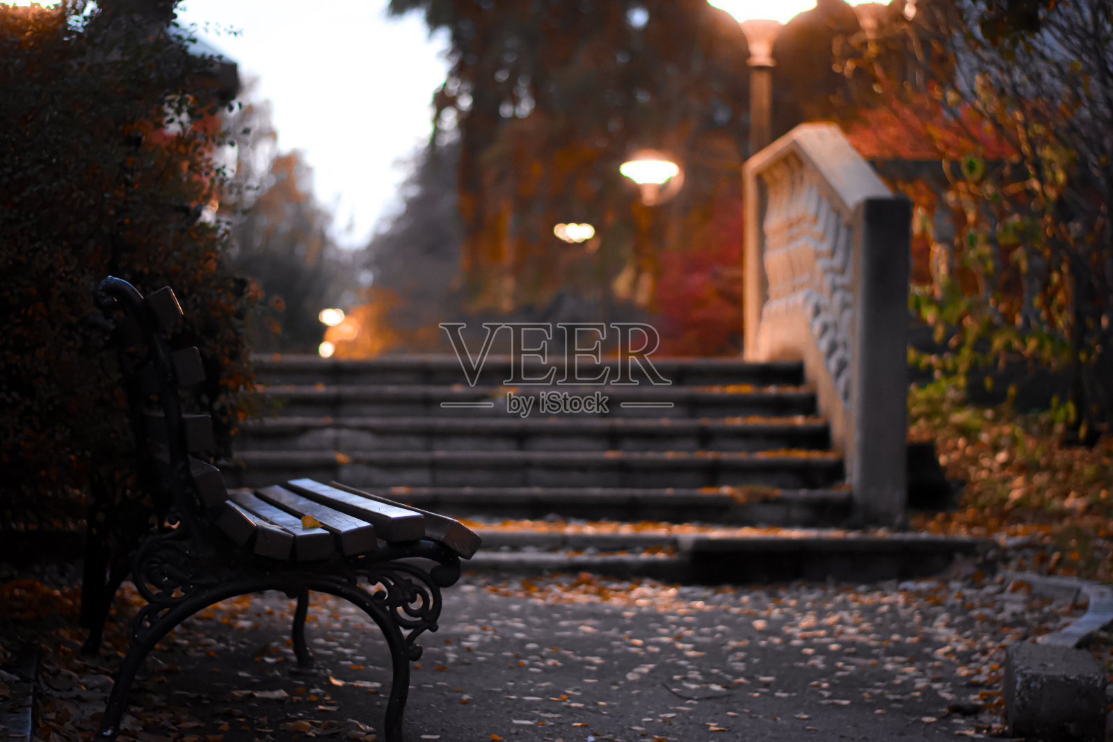 公园散步照片摄影图片