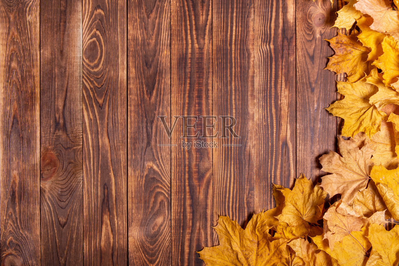 秋天的背景与秋天枫橙叶木制背景。照片摄影图片