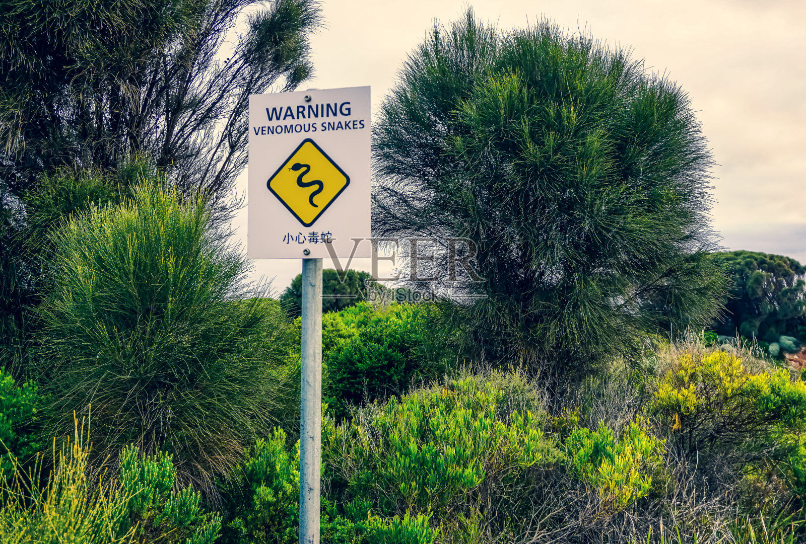 澳大利亚关于蛇的警告。照片摄影图片