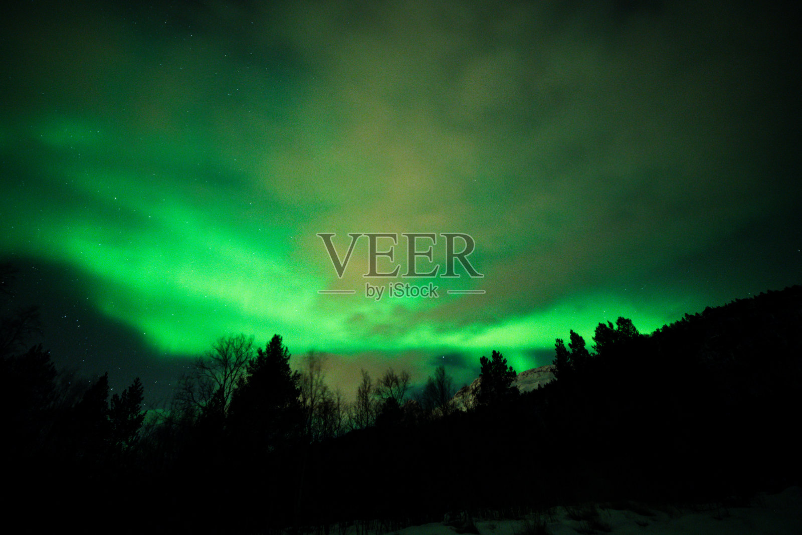 北极光在夜空中，山峦和云杉的轮廓照片摄影图片