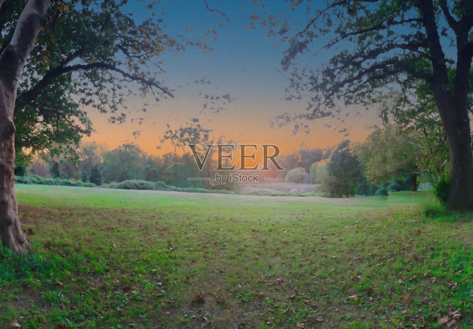 美丽的日落照片摄影图片