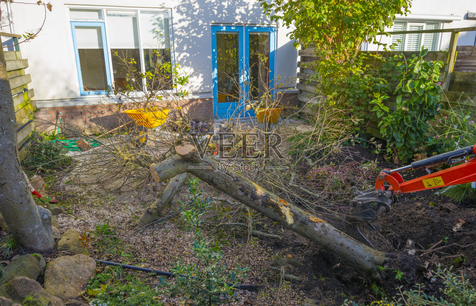 秋季住宅区花园的翻新照片摄影图片