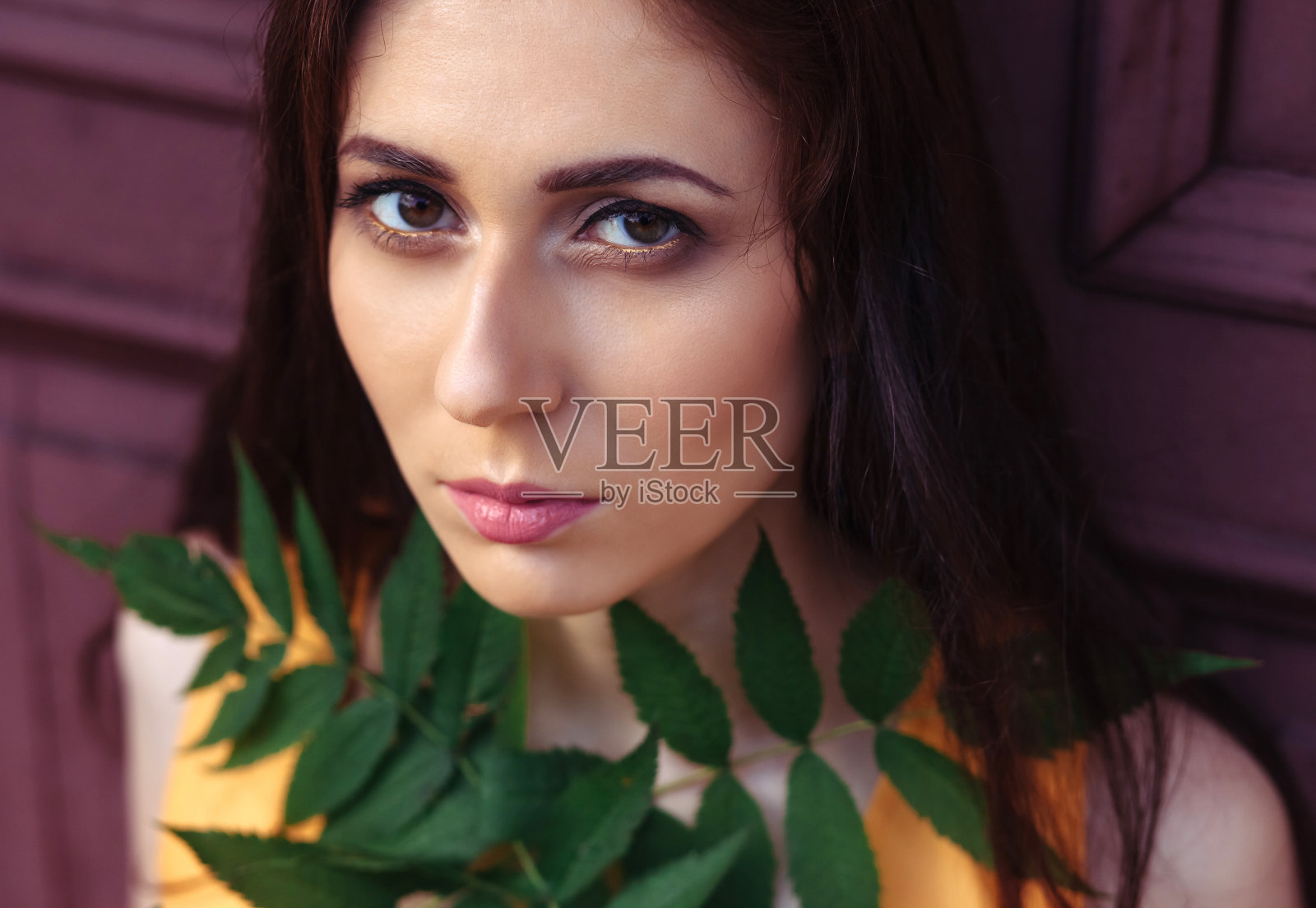 有蕨类植物叶子的迷人的深色皮肤照片摄影图片