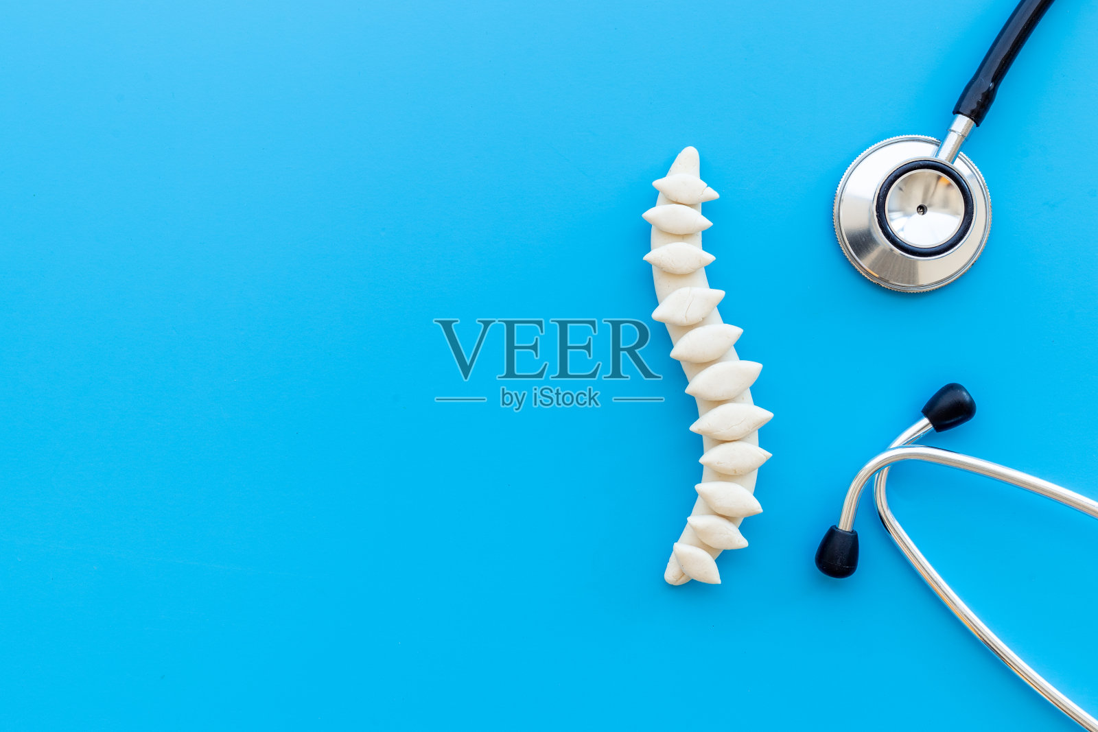 带听诊器的人体医用脊柱模型。健康脊柱护理照片摄影图片