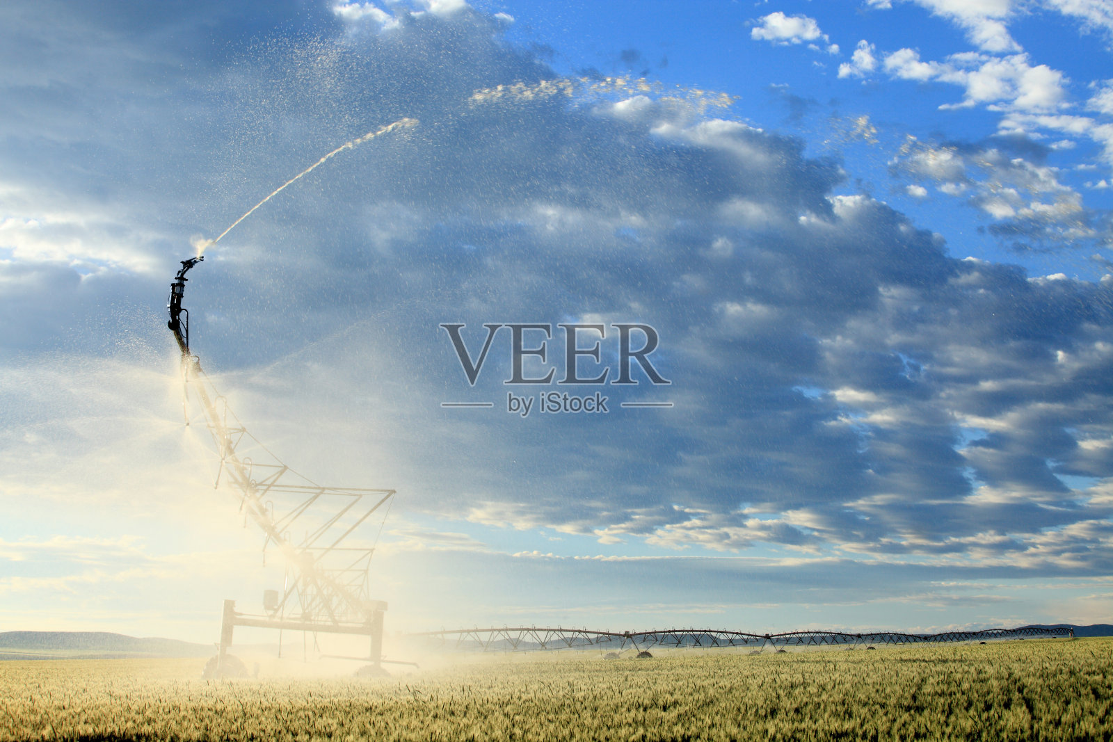 农田里的农业喷灌系统照片摄影图片