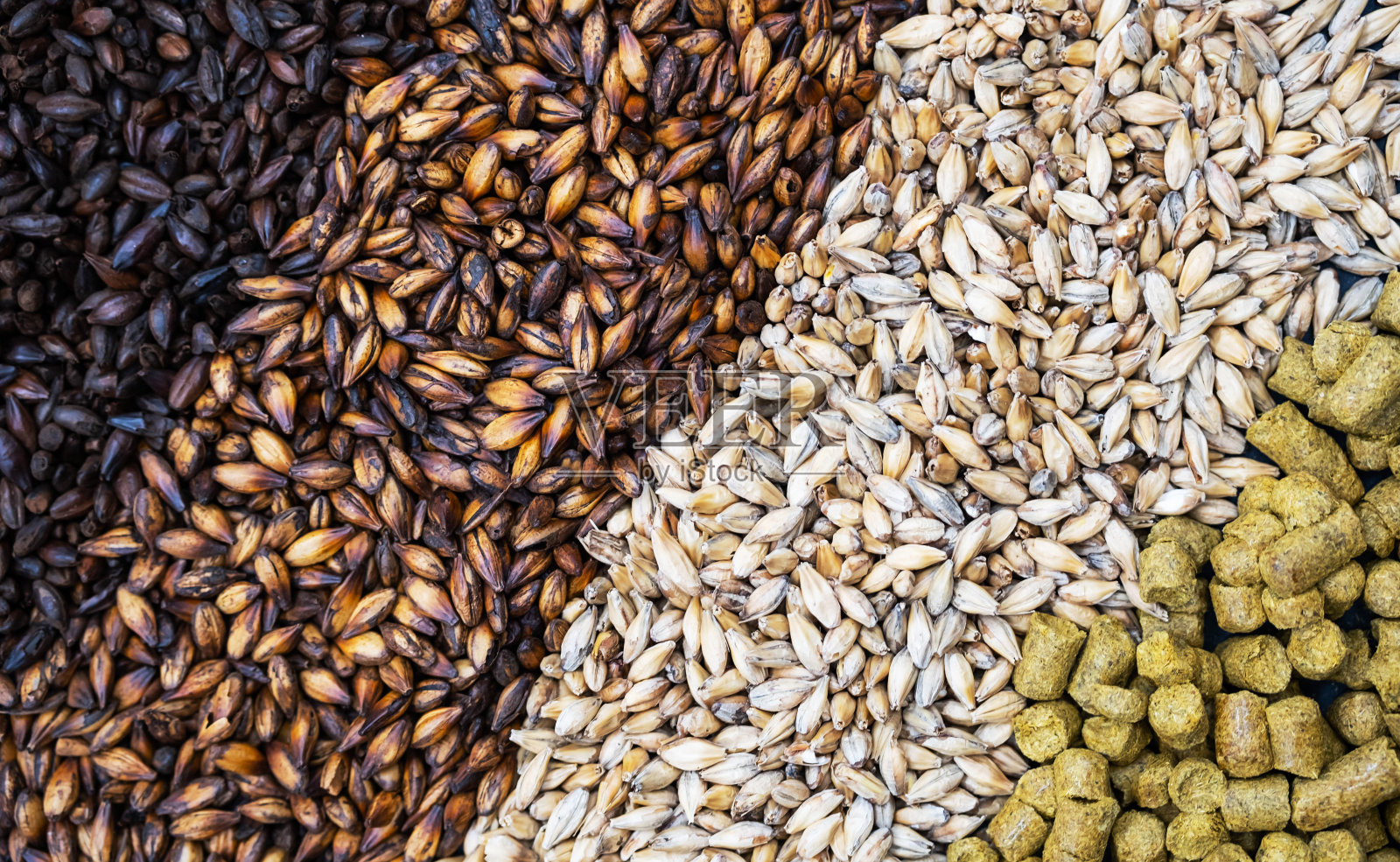 淡色麦酒，焦糖和黑色麦芽谷物，绿色啤酒花，特写镜头。啤酒的原料。用谷物大麦麦芽酿造的精酿啤酒。照片摄影图片