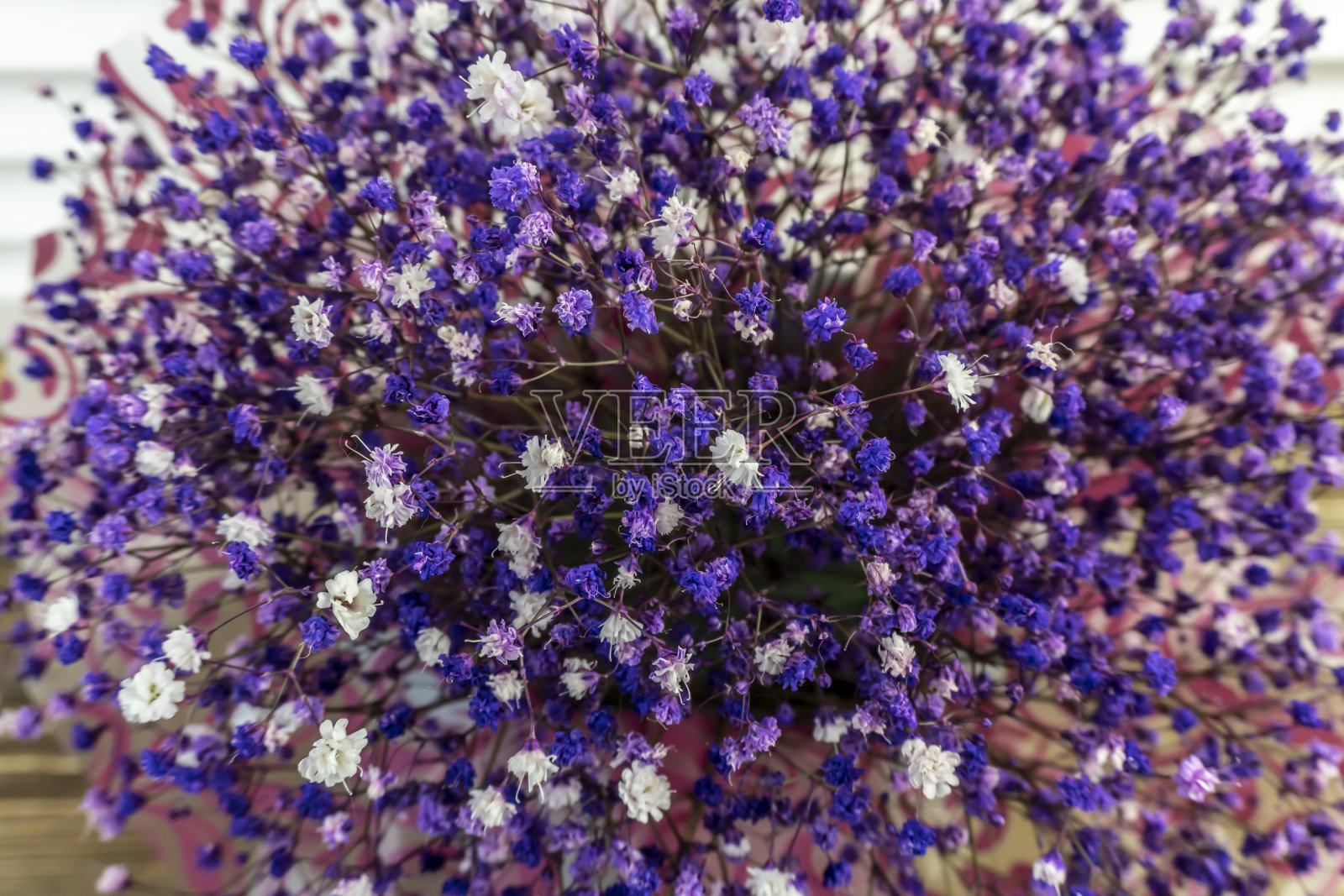 蓝色，丁香和白色的满天星花照片摄影图片