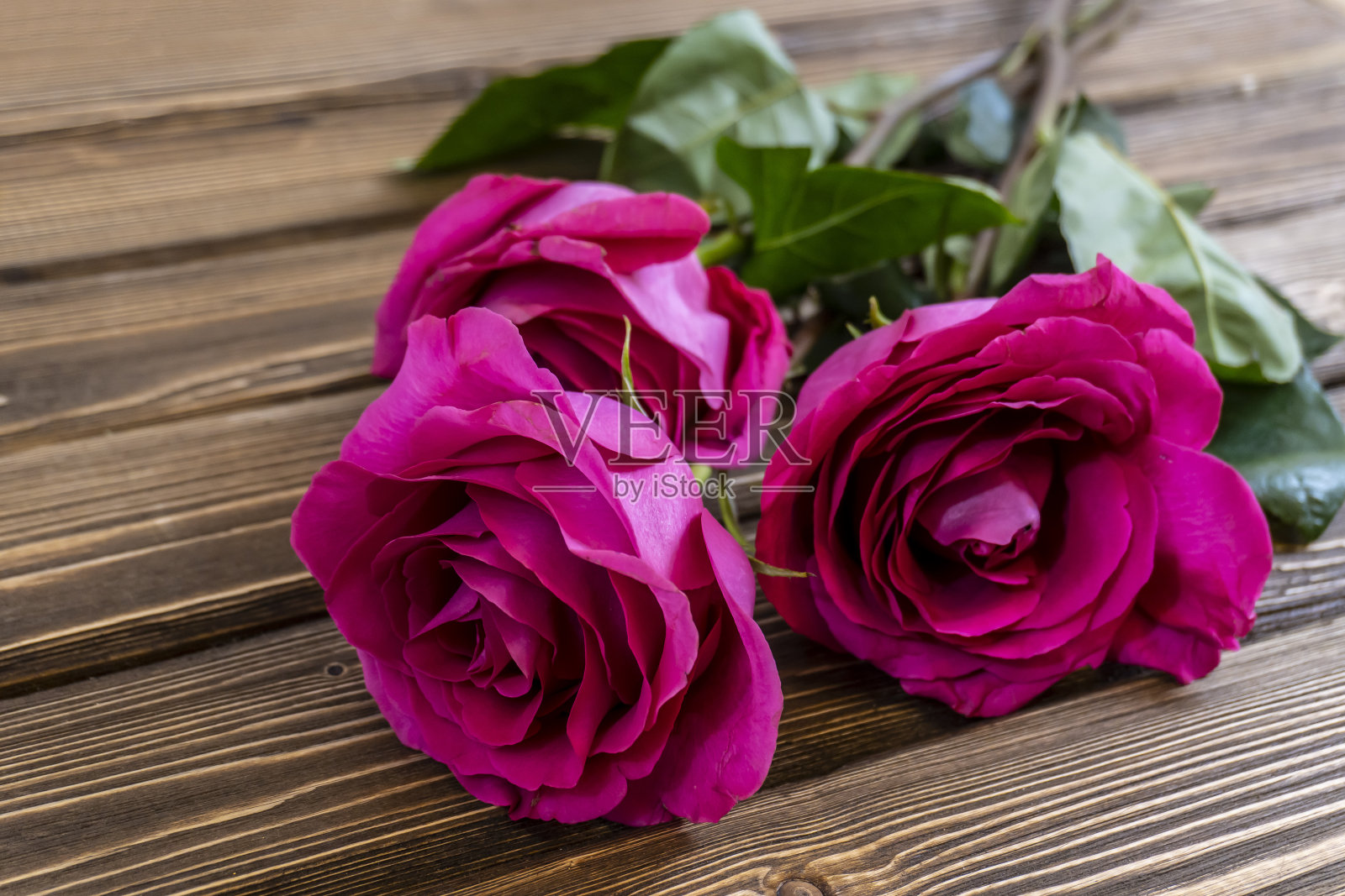 木质背景上的粉色玫瑰照片摄影图片