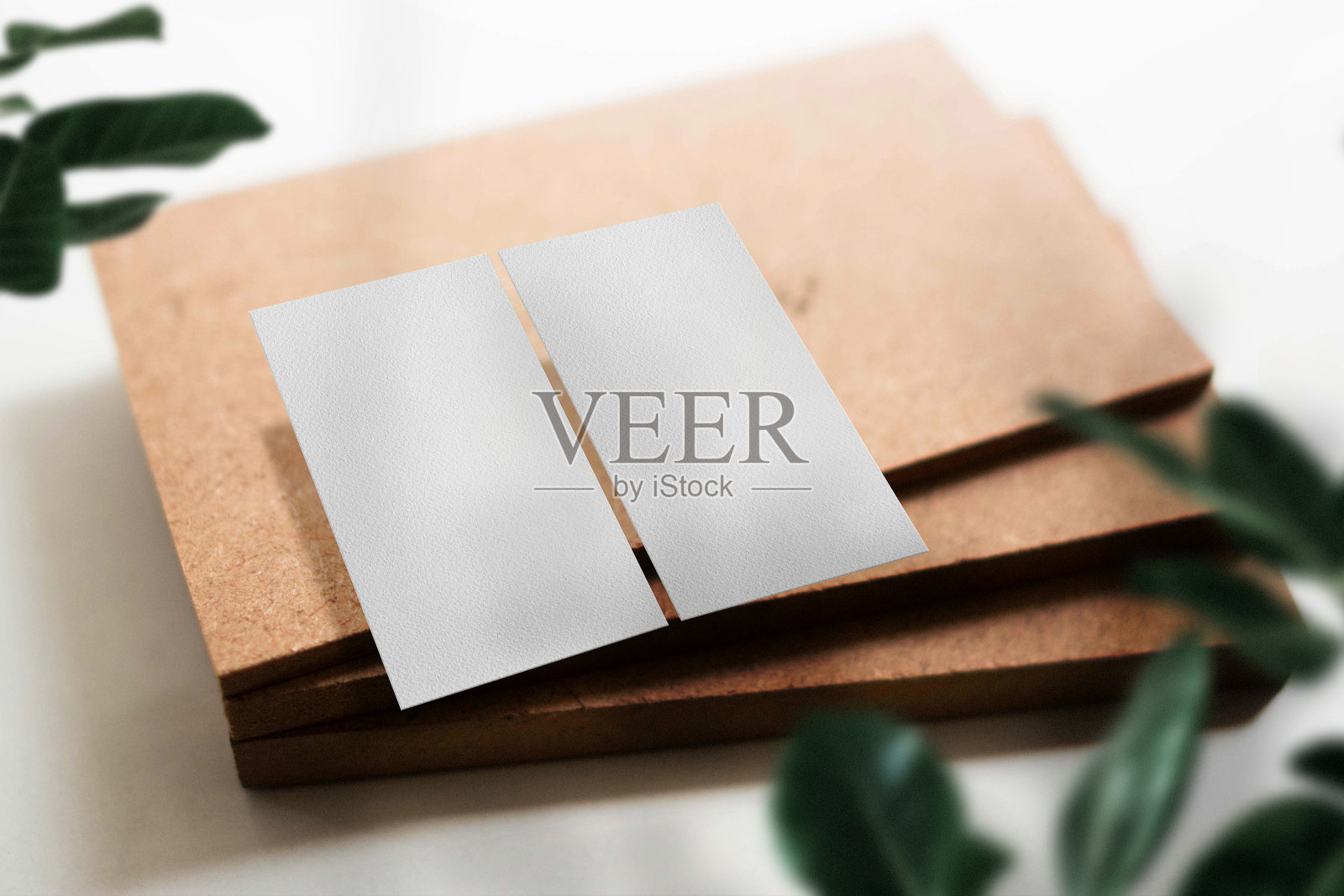 清洁最小的名片模型胶合板与树叶背景照片摄影图片