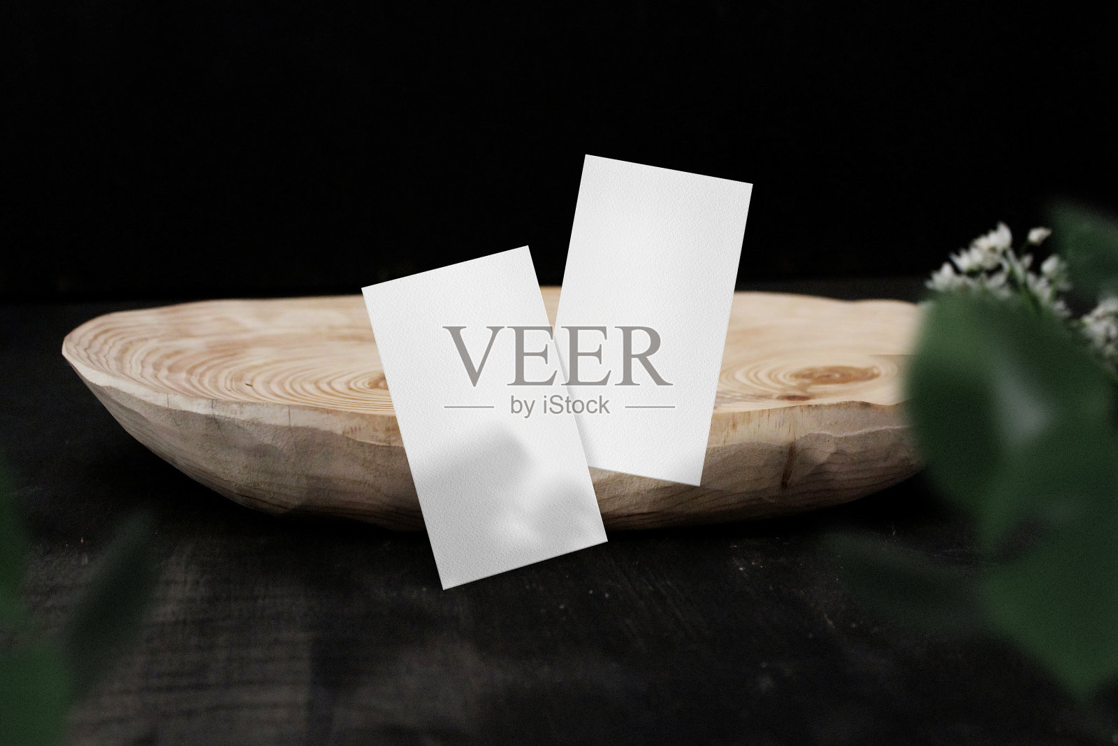 清洁最小的名片模型在侧木板与树叶背景照片摄影图片