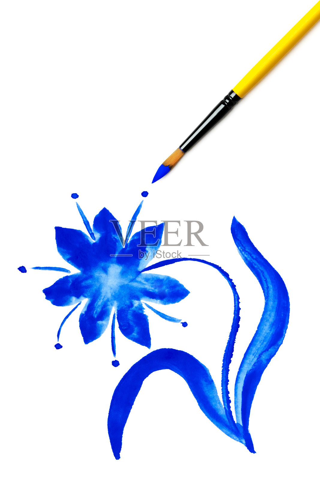 画有蓝色花朵的画笔(在白色上孤立)照片摄影图片