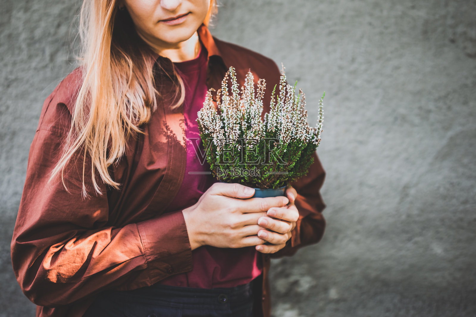 一个手里拿着白石南花的罐子的女人照片摄影图片