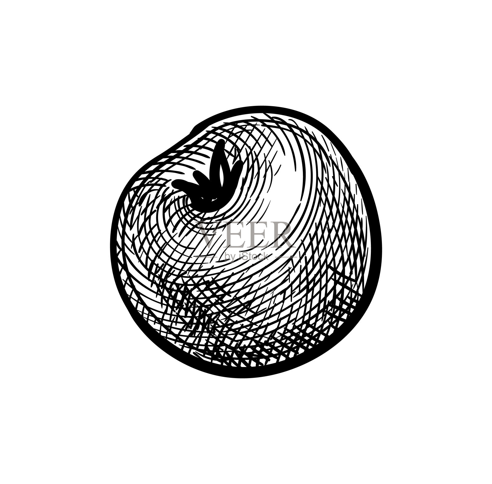 西红柿的墨水素描。插画图片素材