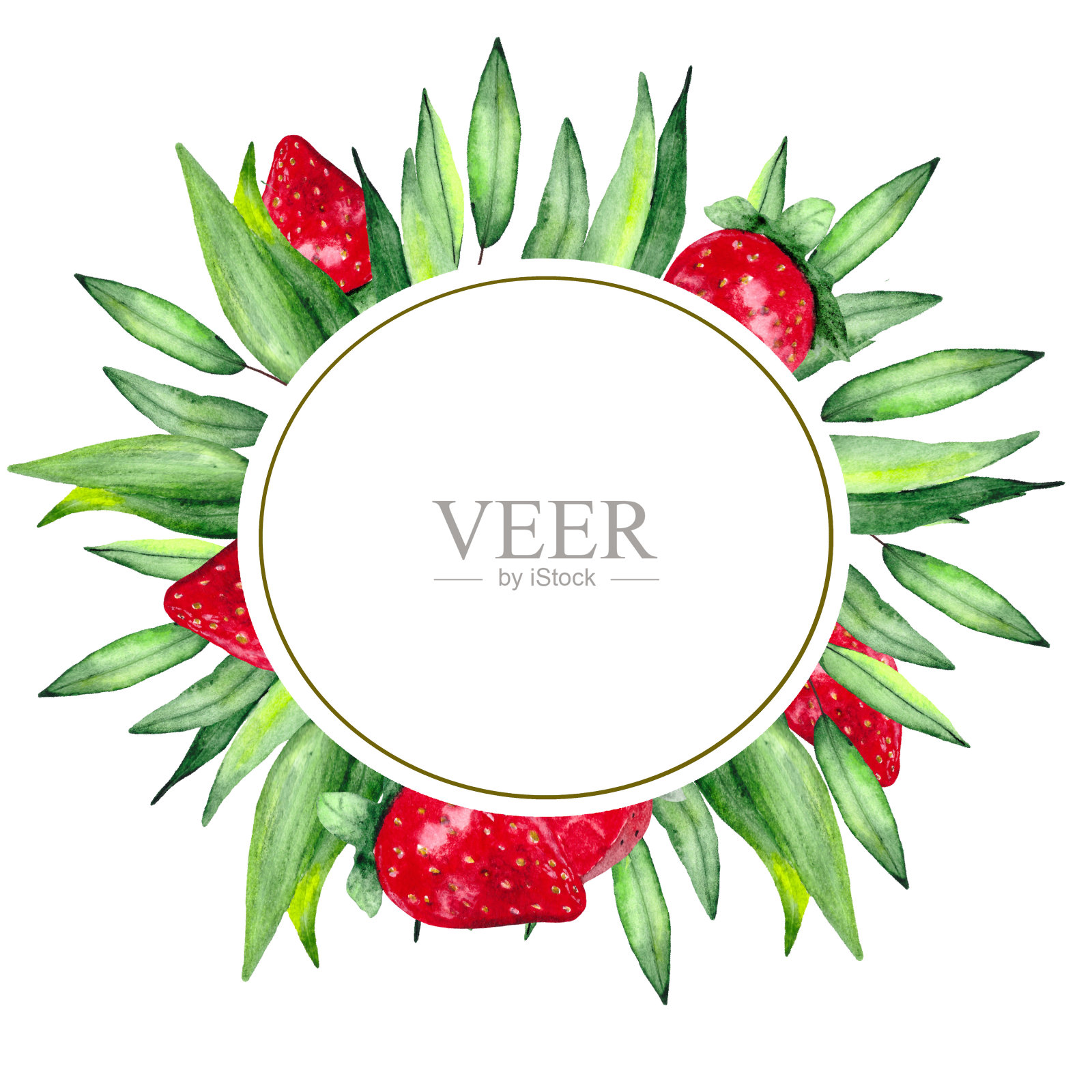 一张印有桉树和成熟草莓的明信片。水彩手绘白色背景与空间的文本。插画图片素材