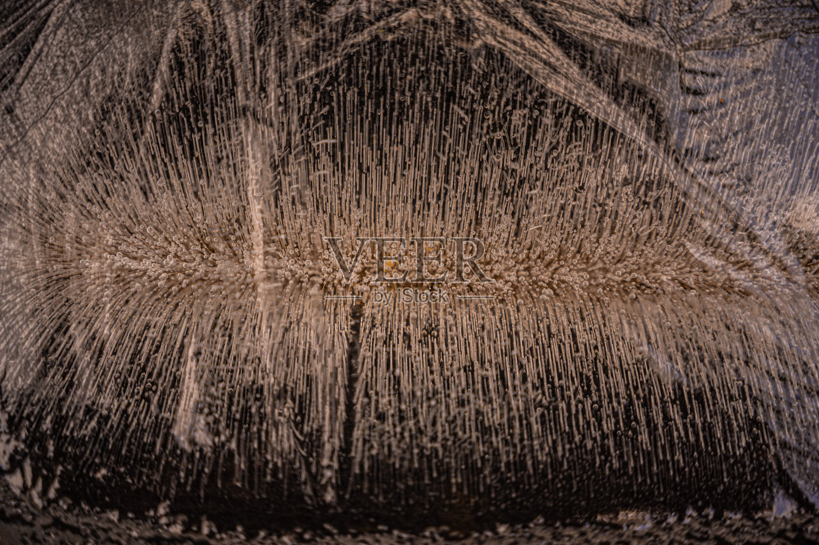 背景照片摄影图片