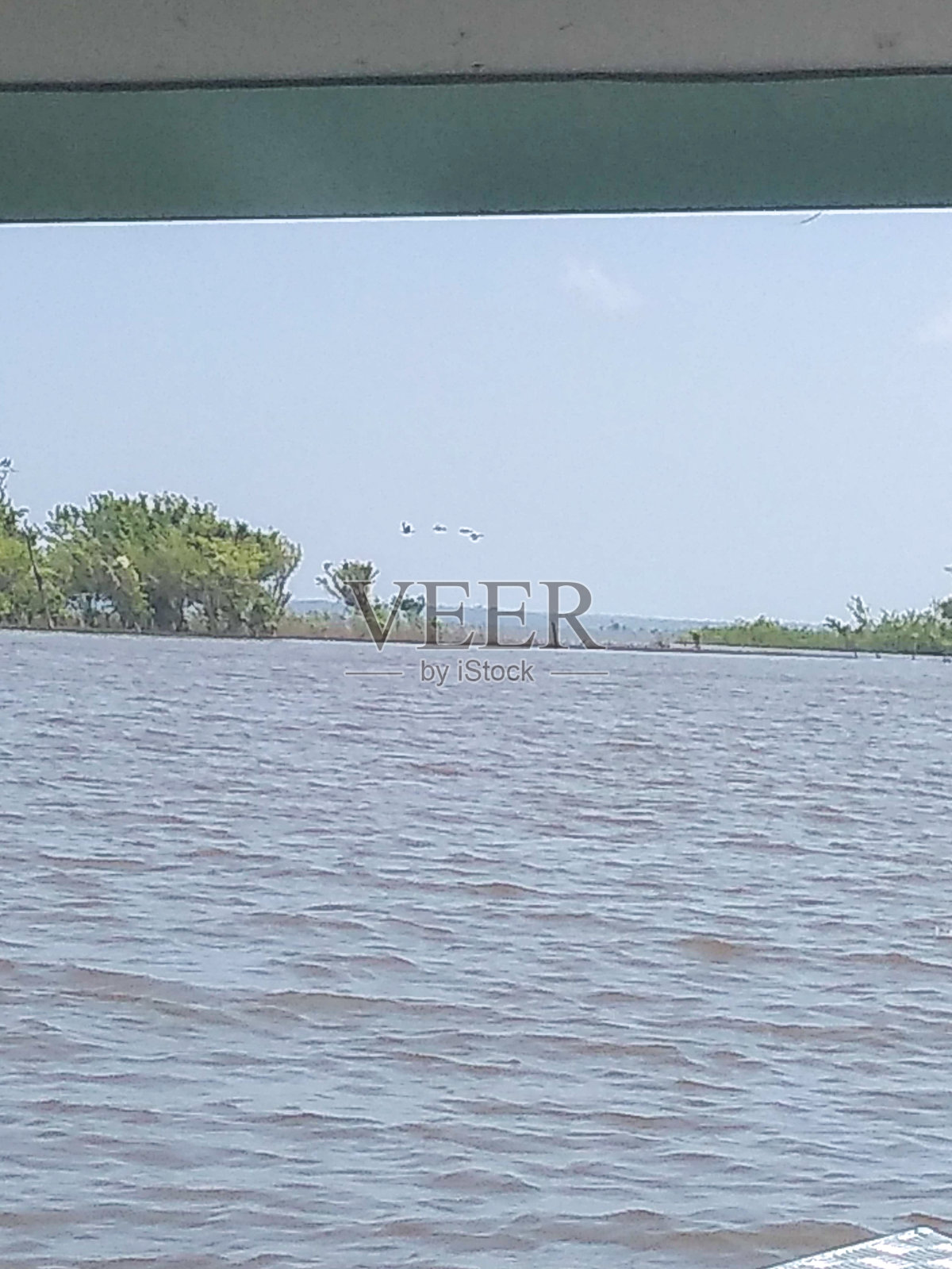 在Tapajós河上乘船旅行。巴西的亚马逊。照片摄影图片