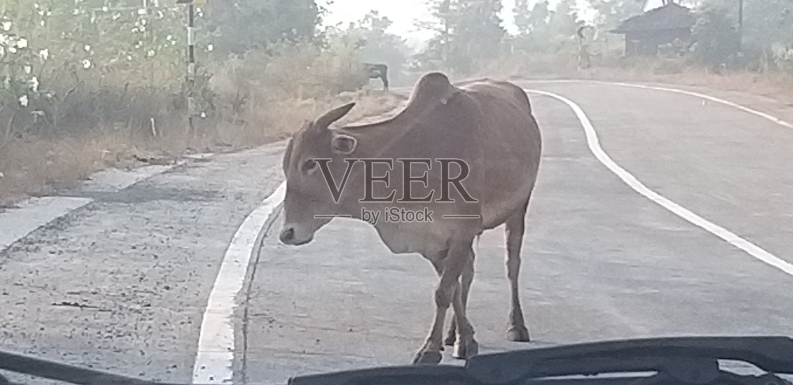 印度的道路照片摄影图片