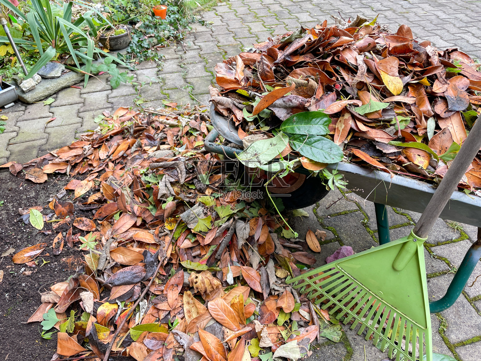 花园里有一辆装满落叶的手推车照片摄影图片