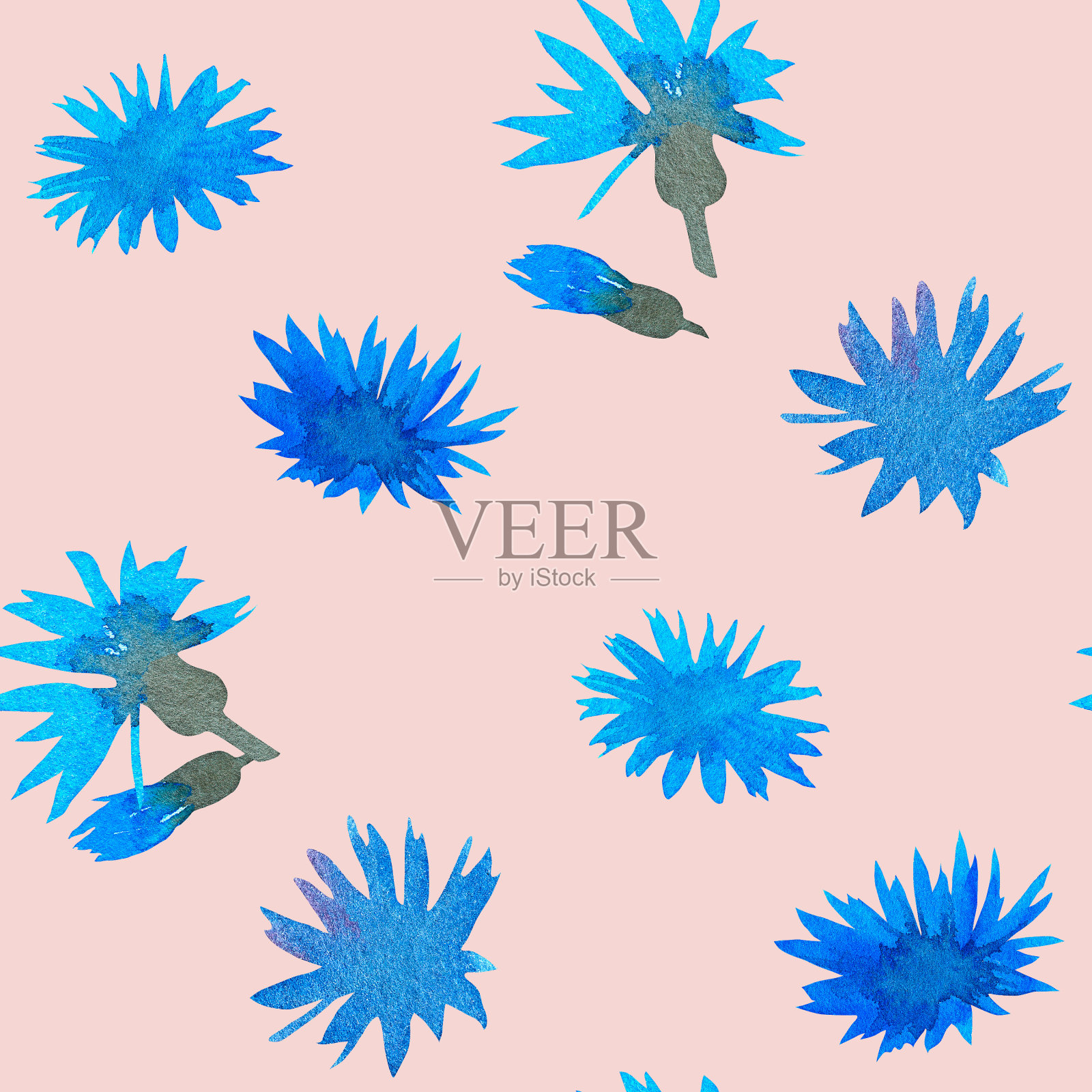 矢车菊。无缝模式。水彩植物插图。孤立的图像在粉红色的背景。为你的设计。插画图片素材