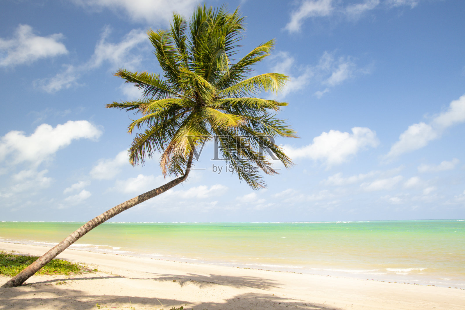 热带海区照片摄影图片