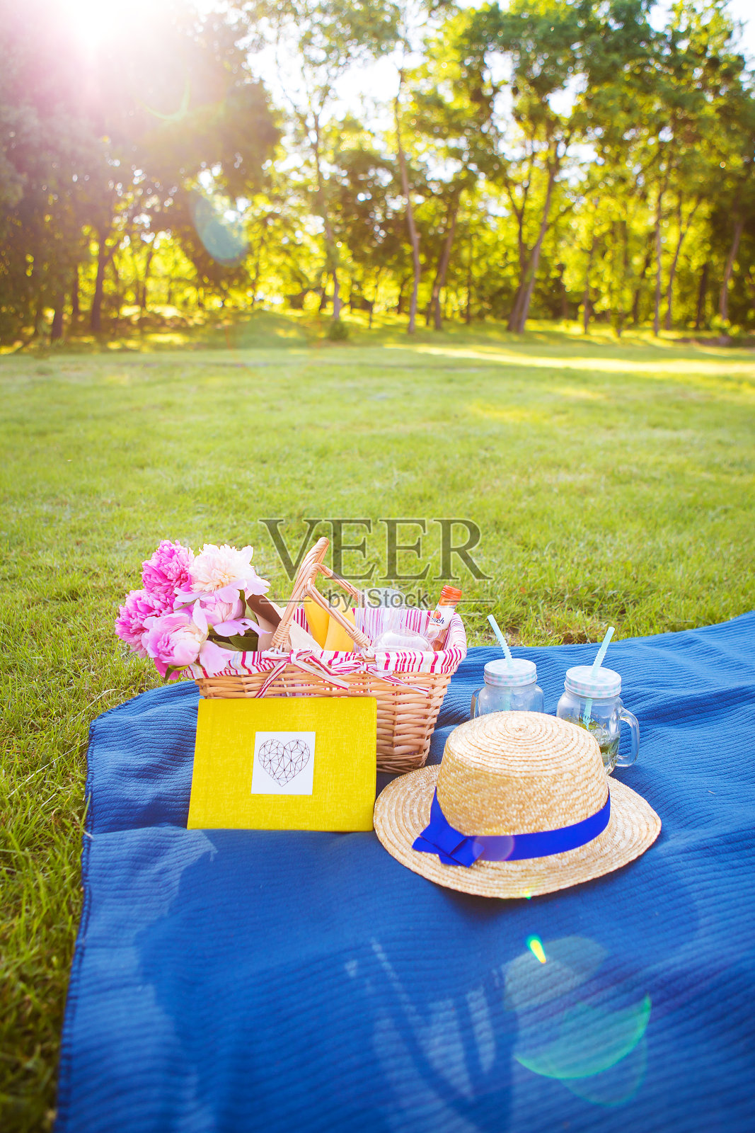 阳光明媚的夏日野餐照片摄影图片