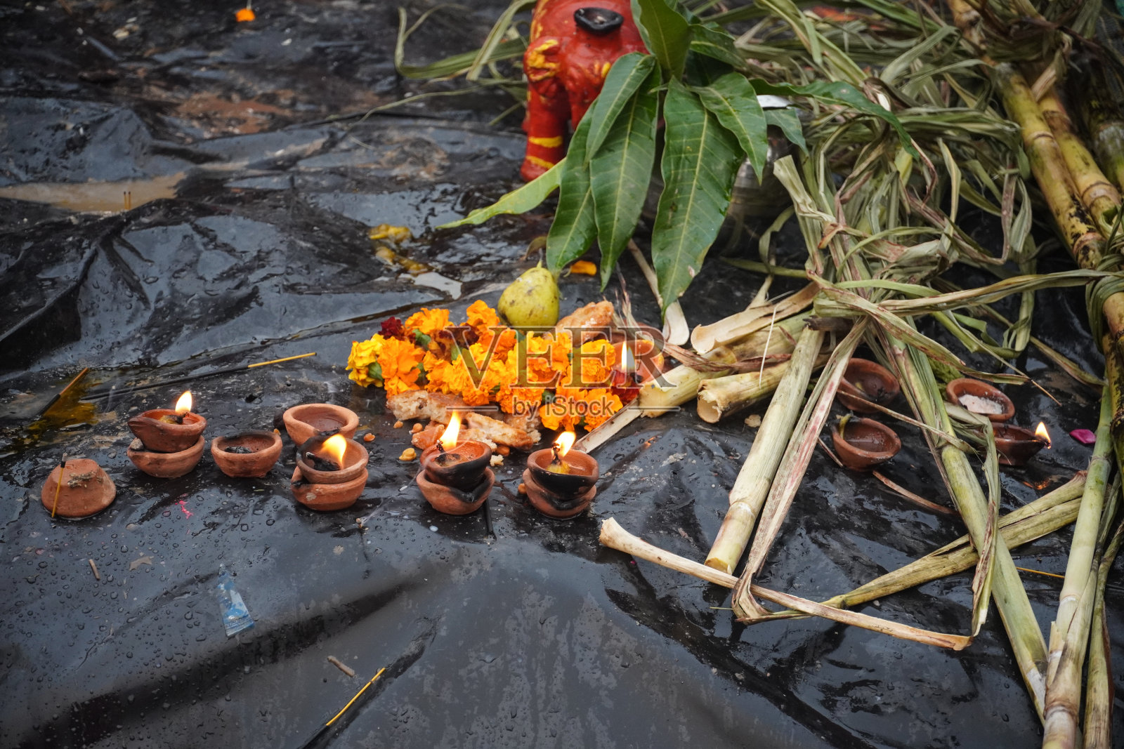 查特普贾 2021 图像高清照片摄影图片