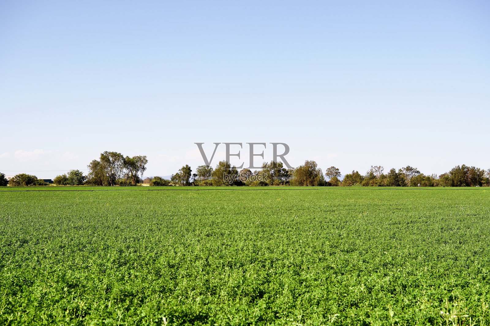 农村农田照片摄影图片