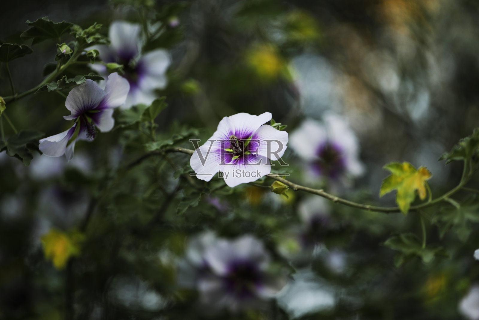 抽象工厂的照片照片摄影图片