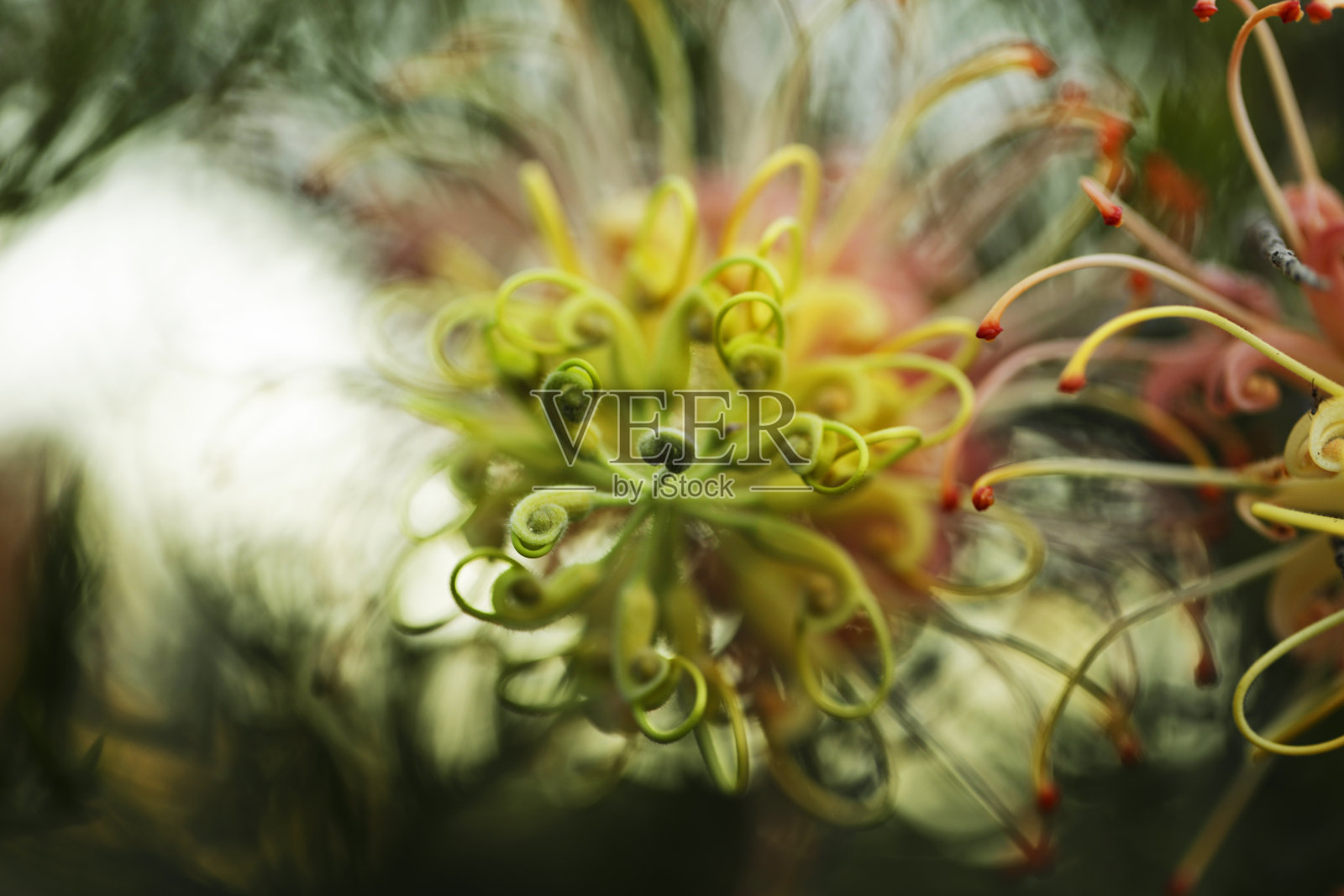 抽象工厂的照片照片摄影图片