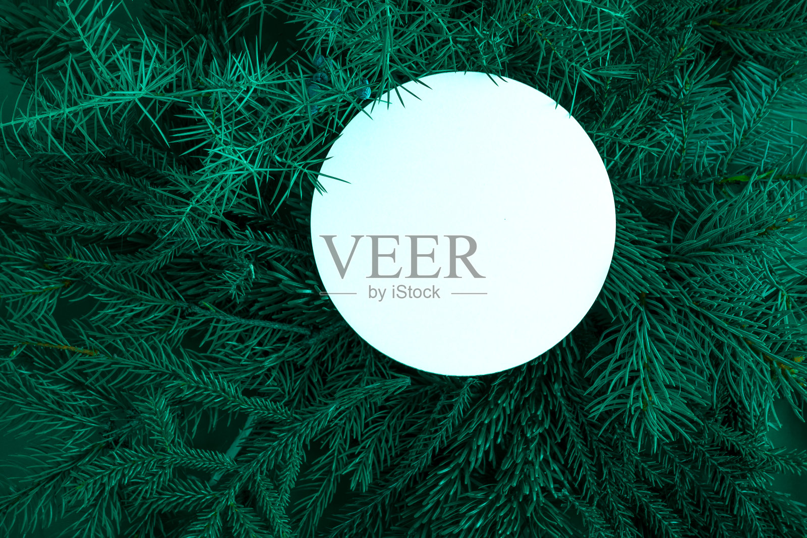 圣诞节绿色背景照片摄影图片