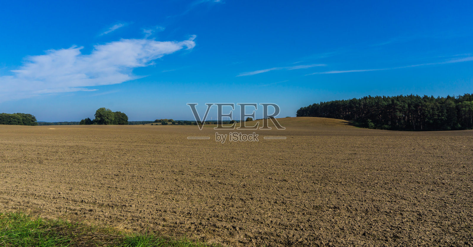 梅克伦堡的风景景观，背景是田野、森林和风车照片摄影图片