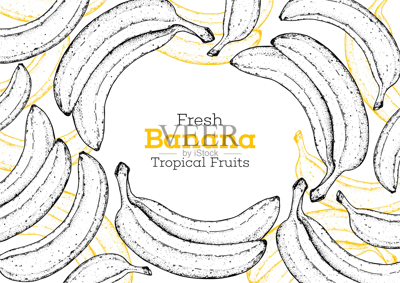 香蕉水果手绘框。素描风格。矢量插图。设计，包装，宣传册插图。手绘香蕉水果设计模板。有机新鲜食物矢量插图。设计模板素材