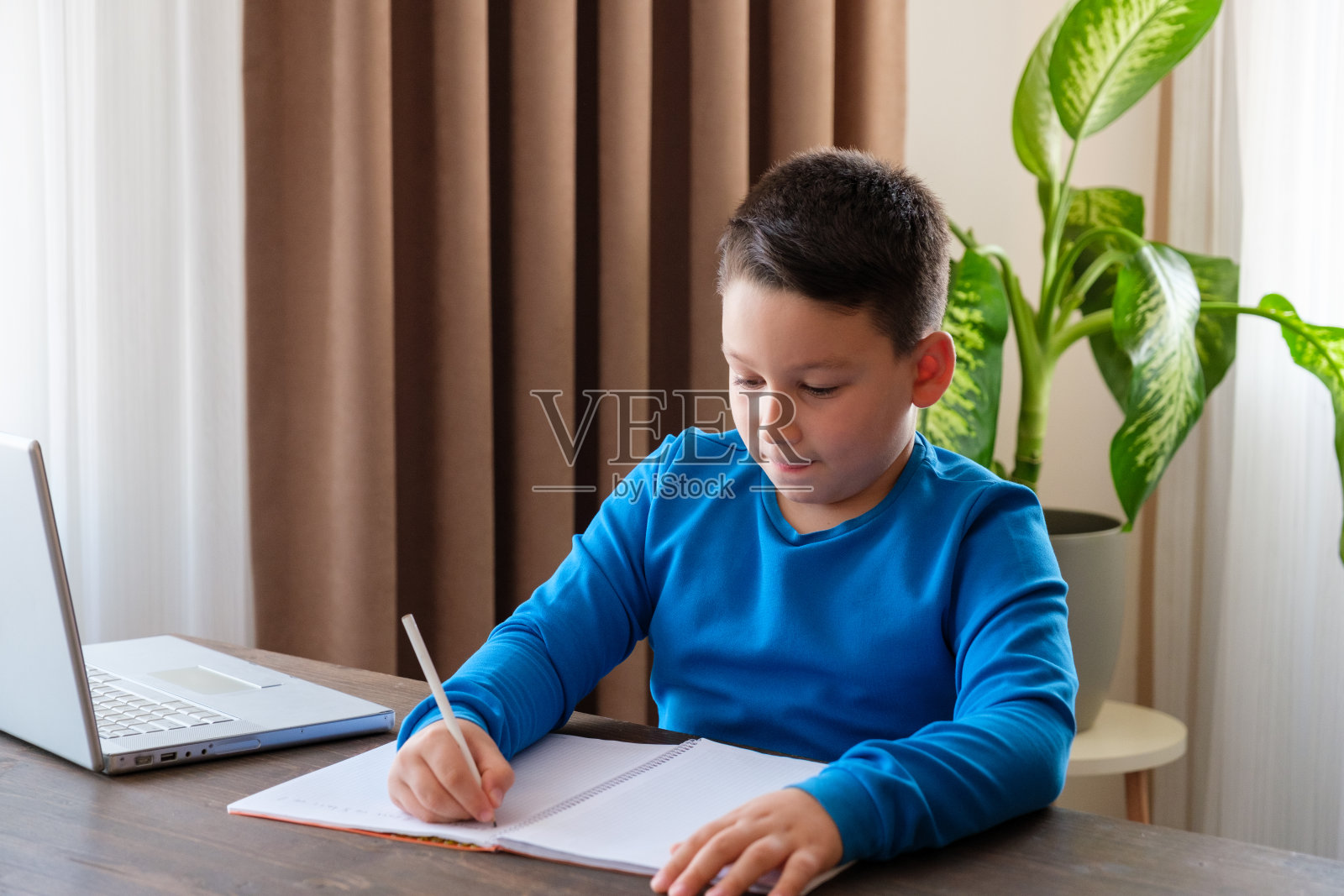 8岁可爱的孩子在家里做作业照片摄影图片