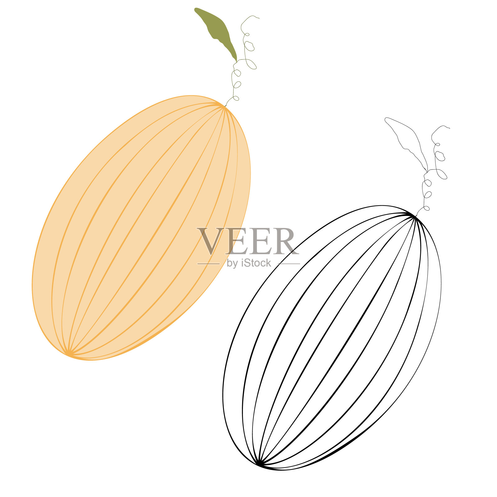 两个西瓜插画图片素材