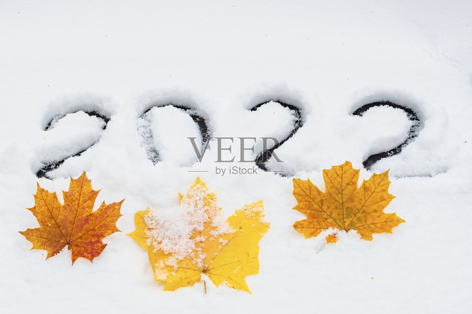 2022是用白雪写的下一个新年的数字。枣树下有三片黄色的加拿大枫叶。照片摄影图片