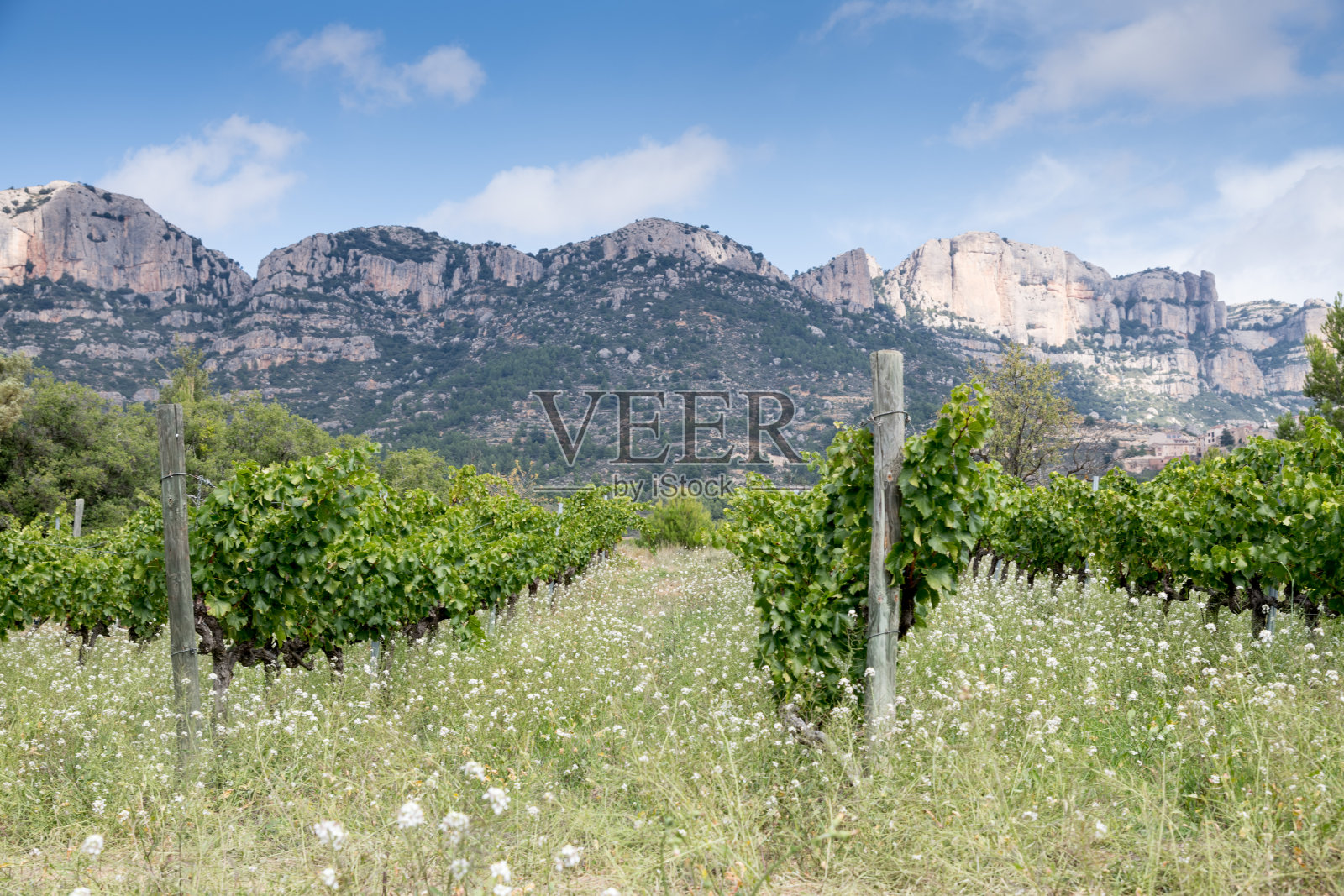 La Morera de Montsant葡萄园，位于西班牙塔拉戈纳的普里奥拉特地区的Sierra de Montsant自然公园总部照片摄影图片