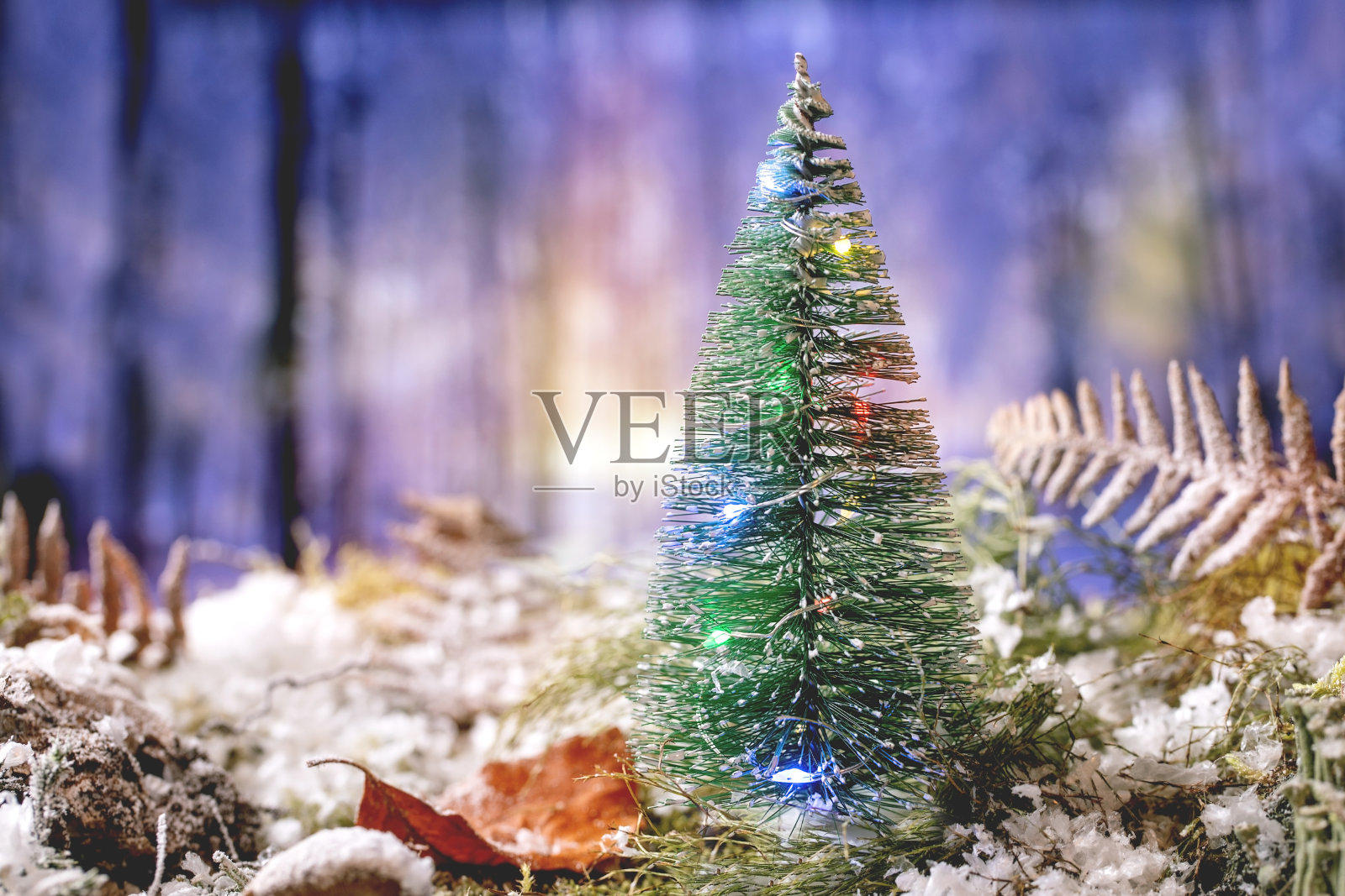 圣诞或新年贺卡与冬季森林照片摄影图片