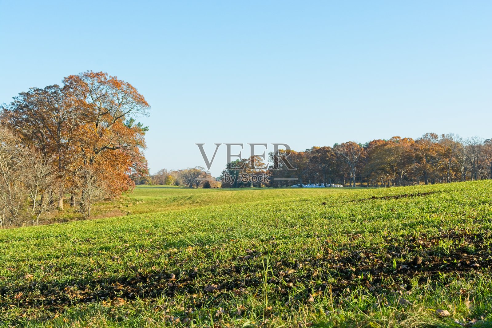 深秋的阿普尔顿农场照片摄影图片