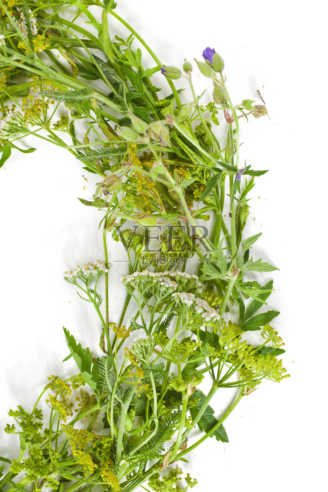 美丽的花圈。照片摄影图片